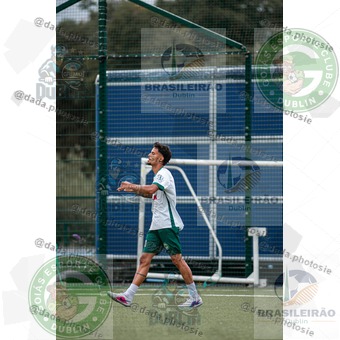 Grêmio Dublin x Goiás Dublin (098).jpg