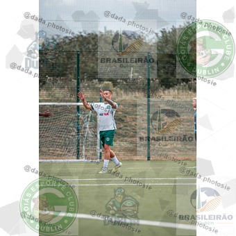 Grêmio Dublin x Goiás Dublin (120).jpg