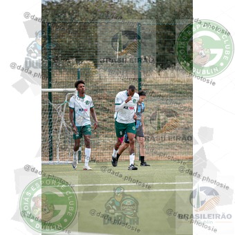Grêmio Dublin x Goiás Dublin (130).jpg