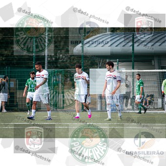 Palmeiras Dublin x São Paulo Ireland (031).jpg