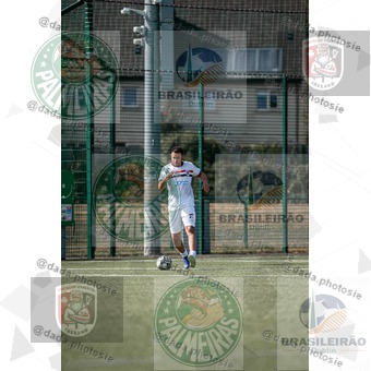Palmeiras Dublin x São Paulo Ireland (063).jpg