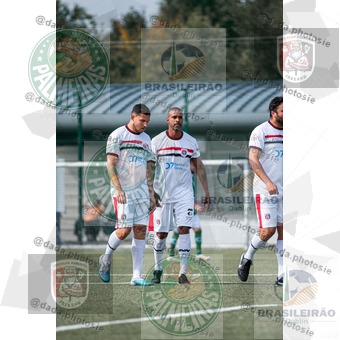 Palmeiras Dublin x São Paulo Ireland (070).jpg