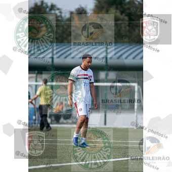 Palmeiras Dublin x São Paulo Ireland (073).jpg