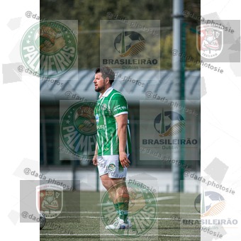 Palmeiras Dublin x São Paulo Ireland (080).jpg