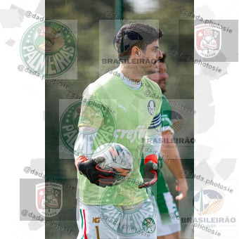 Palmeiras Dublin x São Paulo Ireland (087).jpg