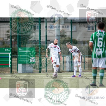 Palmeiras Dublin x São Paulo Ireland (153).jpg