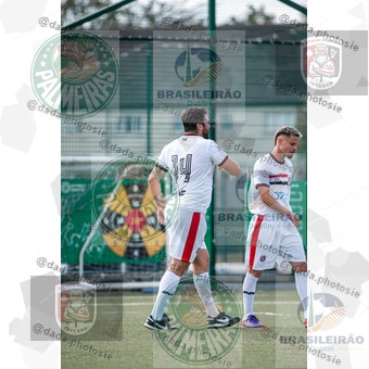 Palmeiras Dublin x São Paulo Ireland (180).jpg